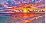 .Sunset Academy.