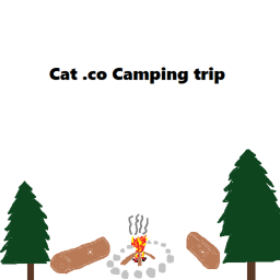 cat .co camping trip
