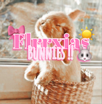 Flrrxias bunnies !!