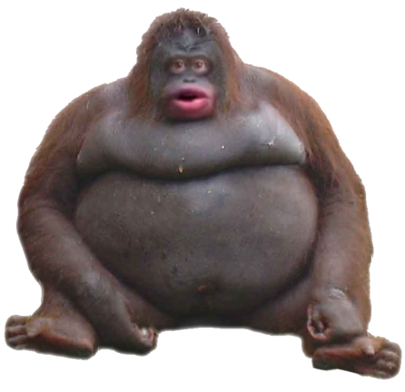 Escape Le monke (labyrinth)