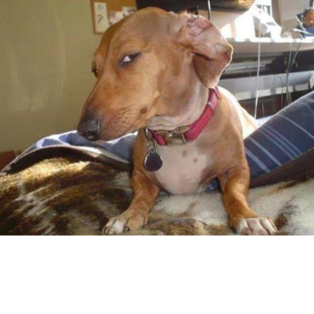 Laser Tag ultimite (beta testing)