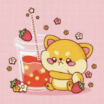 Kawaii kitty’s!