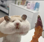 ひらめき