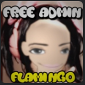 [Free Admin] Hit Or Miss