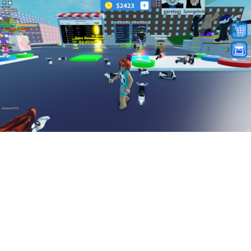 Developer Roblox