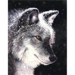 The Wolves Of Snow and Ice