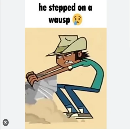 wausp