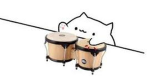 bongo cats and dogs