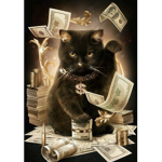 bro money $$$$$$