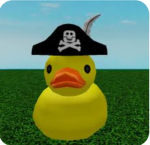Duck Gang (DG)