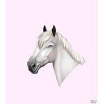 Horsey girls <3
