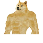 DE DOGE ARMY
