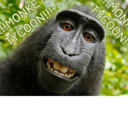 !!! ABLAS MONKEY TYCOON !!!