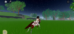 Horse Riding Academy On WHI