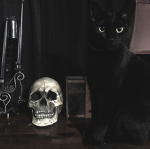 YaTheCaty