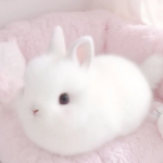 sweet ୭.ᐟ