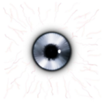Platinum eye Inc.