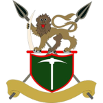 Zimbabwean Security Forcesᅠ