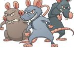Ratz Cultz