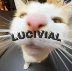 Lucivial's Wardrobe