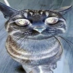 er