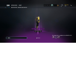 Gun