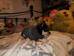 The amazing things group