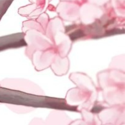.╭୨!୧‿°.🌸.°‿୨!୧╮. ⏔⏔⏔⏔⏔⏔⏔⏔⏔⏔