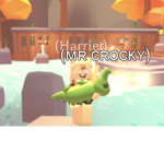 Mr Crocky Squad!!