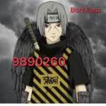 Bort Fans