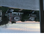 Flamingos, gamer group