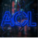 Arsenal Competitive League (ACL)