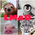 LMaD Animals