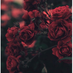 .*