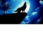 The Night Wolves Awooooooo