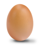 e g g lol