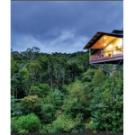 Jungle Hotels!