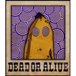 Wanted Illusions