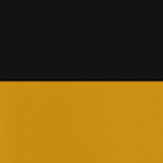 Das Кönigreich Österreich