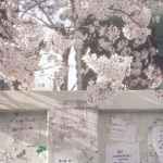 mizapi ୨ৎ