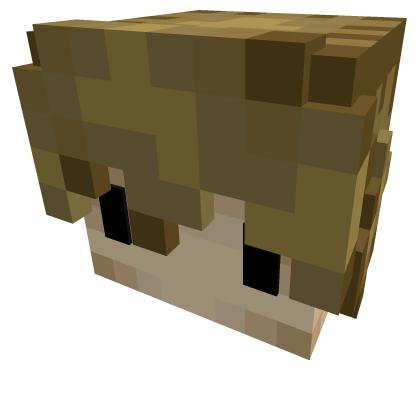 Pixel adorable boy w/dark blonde hair [Grian] Roblox item
