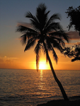 SummerSunrises