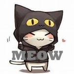 #TEH CAT SQUAD FOREVER