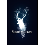 Xx_The give away group_xX