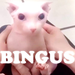 bingus land