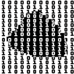 Catnip and Code Creators