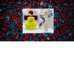 Kings like poop fan club on roblox :)