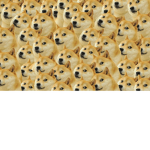Doge Zoo