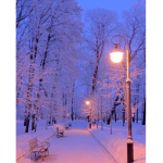 Daylights Dawn