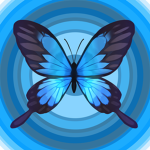 Blue Bird Valley
